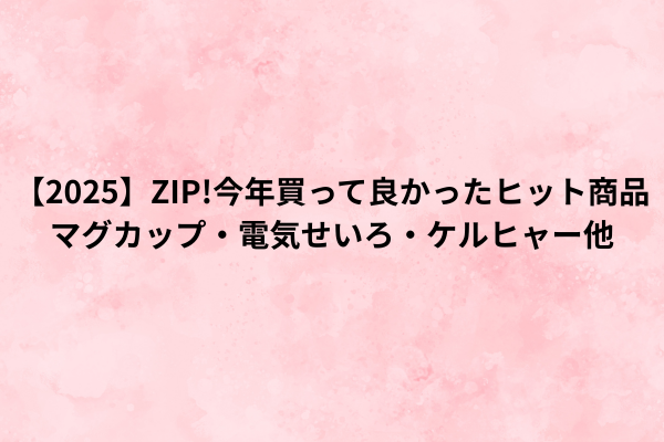 【2025】ZIP!今年買って良かったヒット商品｜マグカップ・電気せいろ・ケルヒャー他